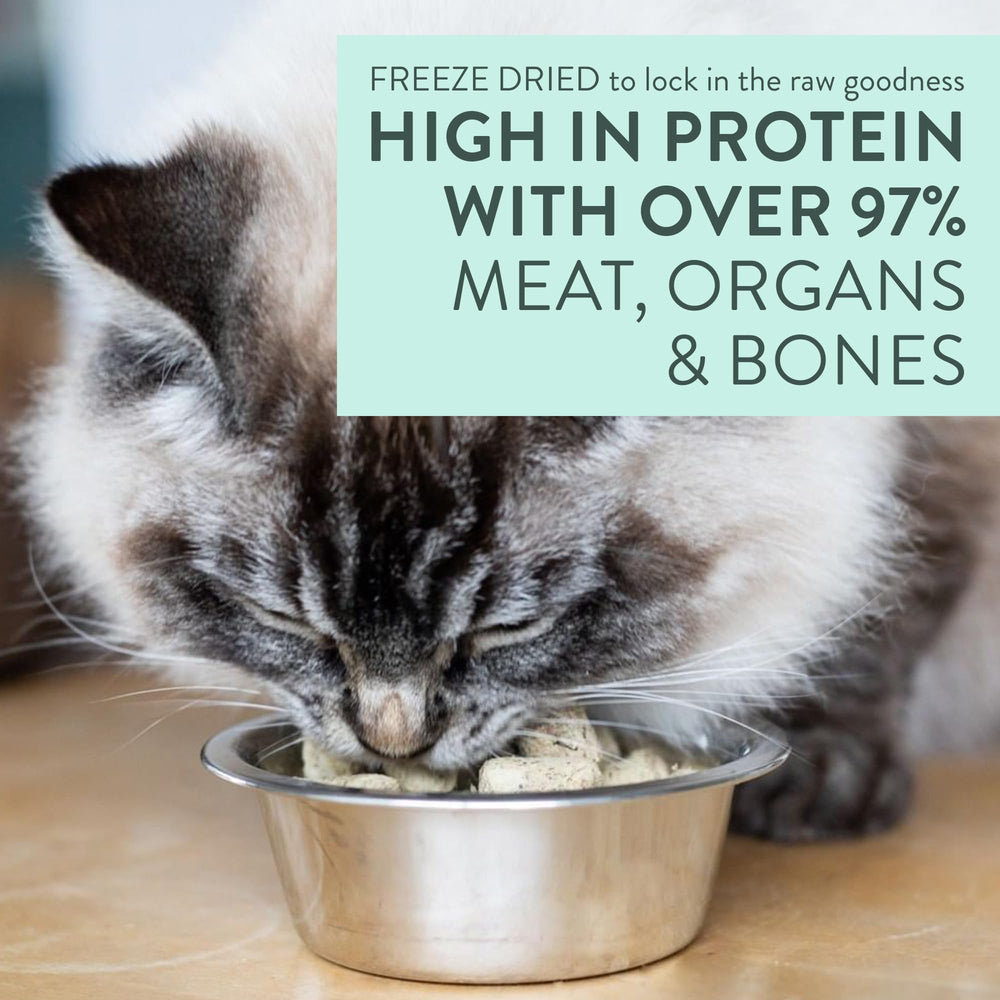 The New Zealand Natural Pet Food Co. Meow freeze-dried ingredients close-up on premium components.