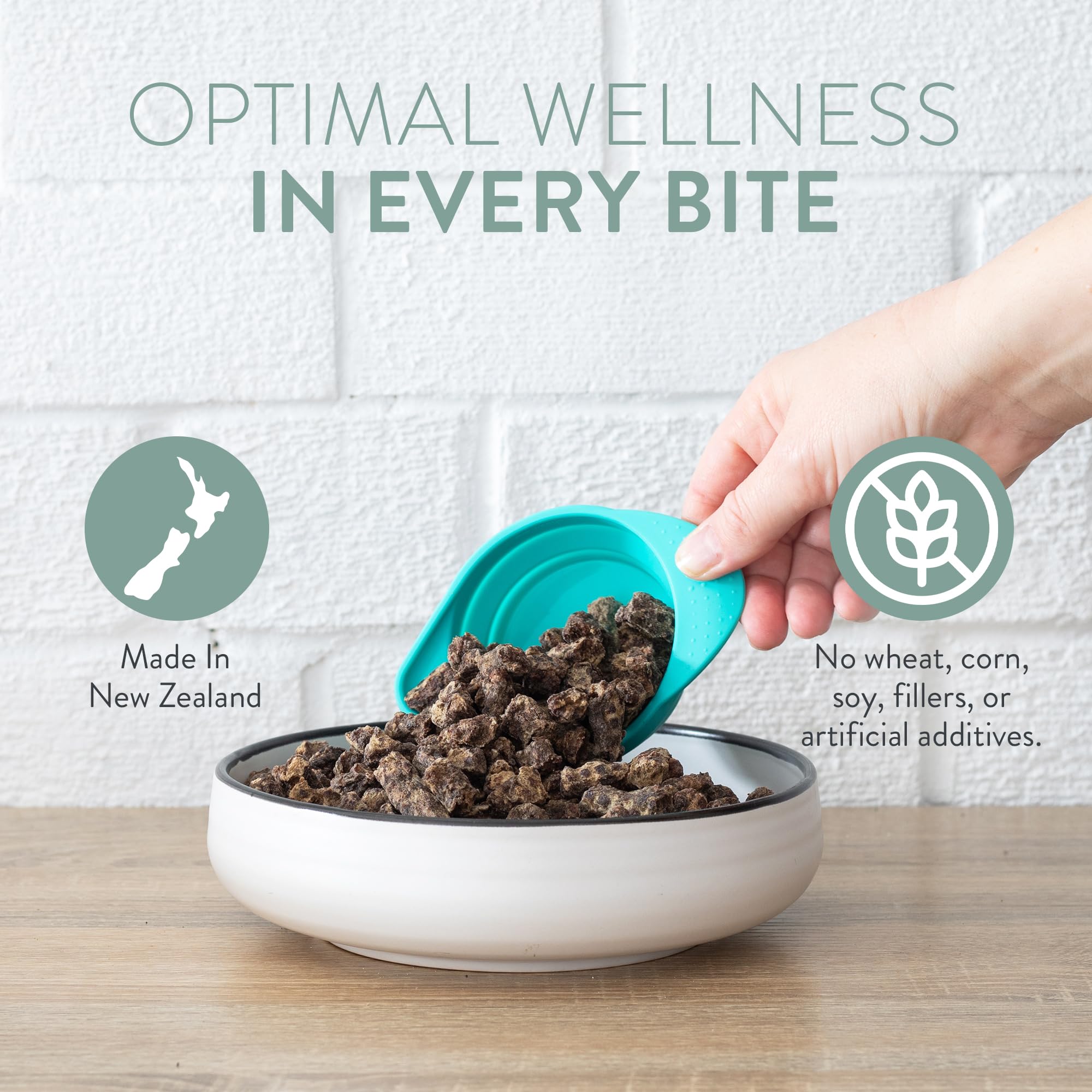 The New Zealand Natural Pet Food Co New Zealand green mussels closeup highlights joint-supporting superfoods