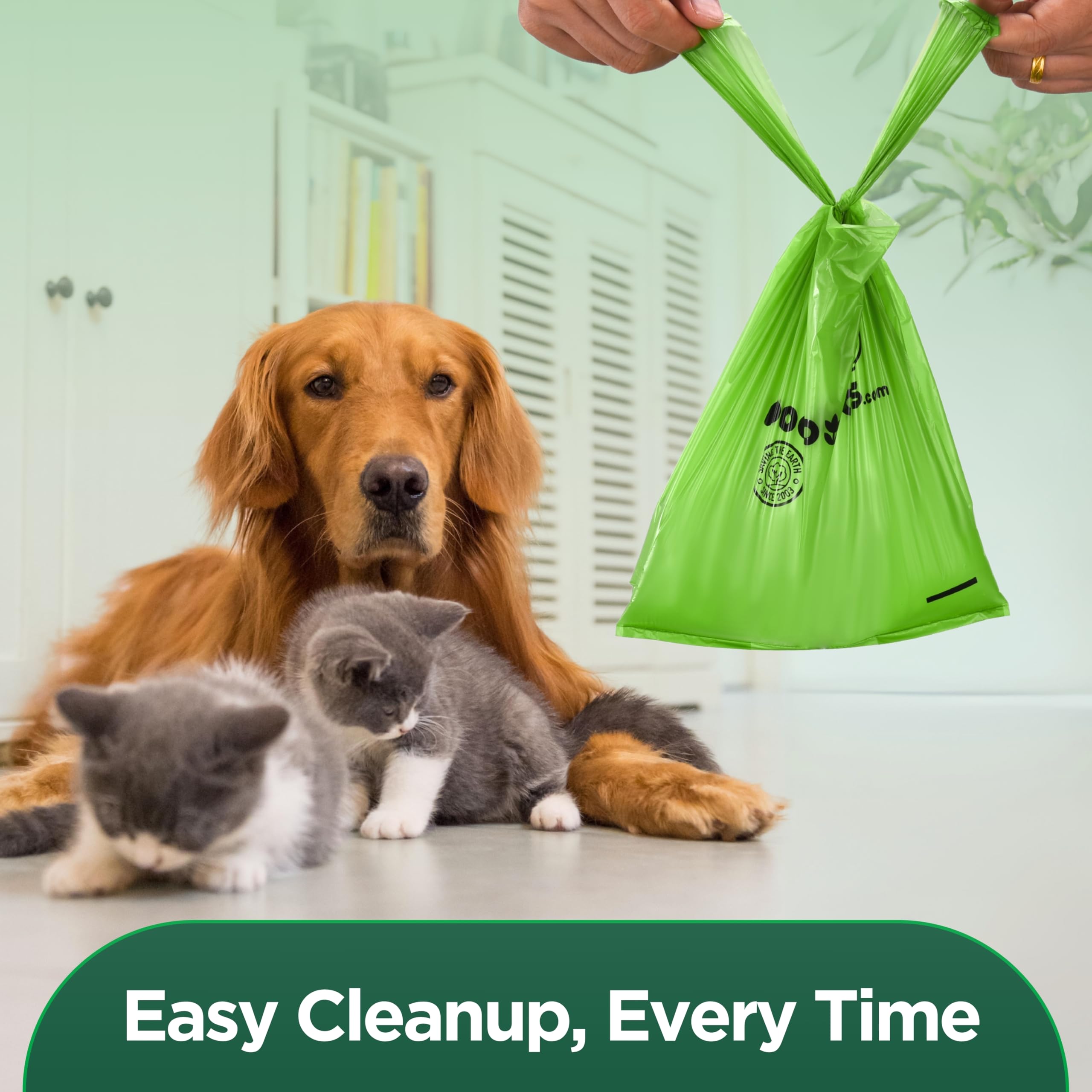 The Original Poop Bags elephant-rescue donation supports elephant rescues.