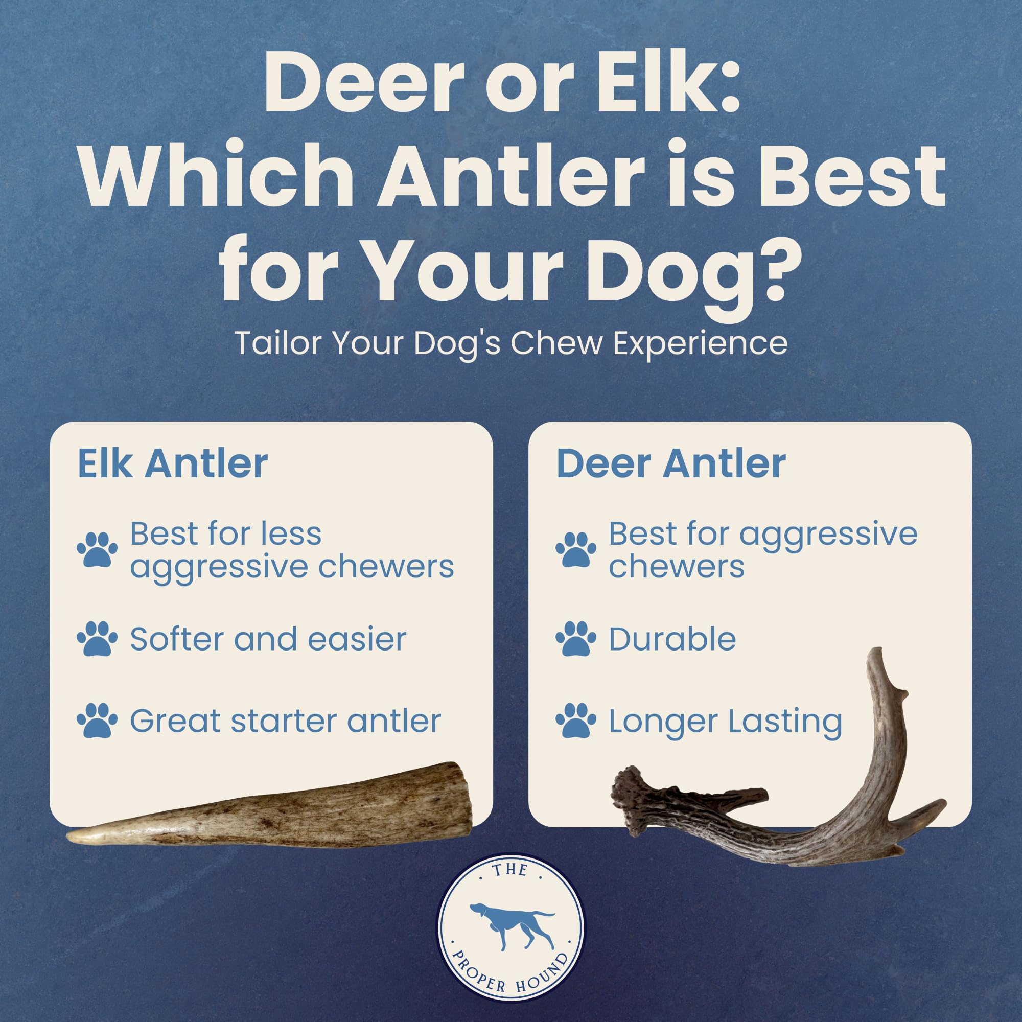 The Proper Hound jumbo deer antler dog chew session captures a content, satisfied pup.