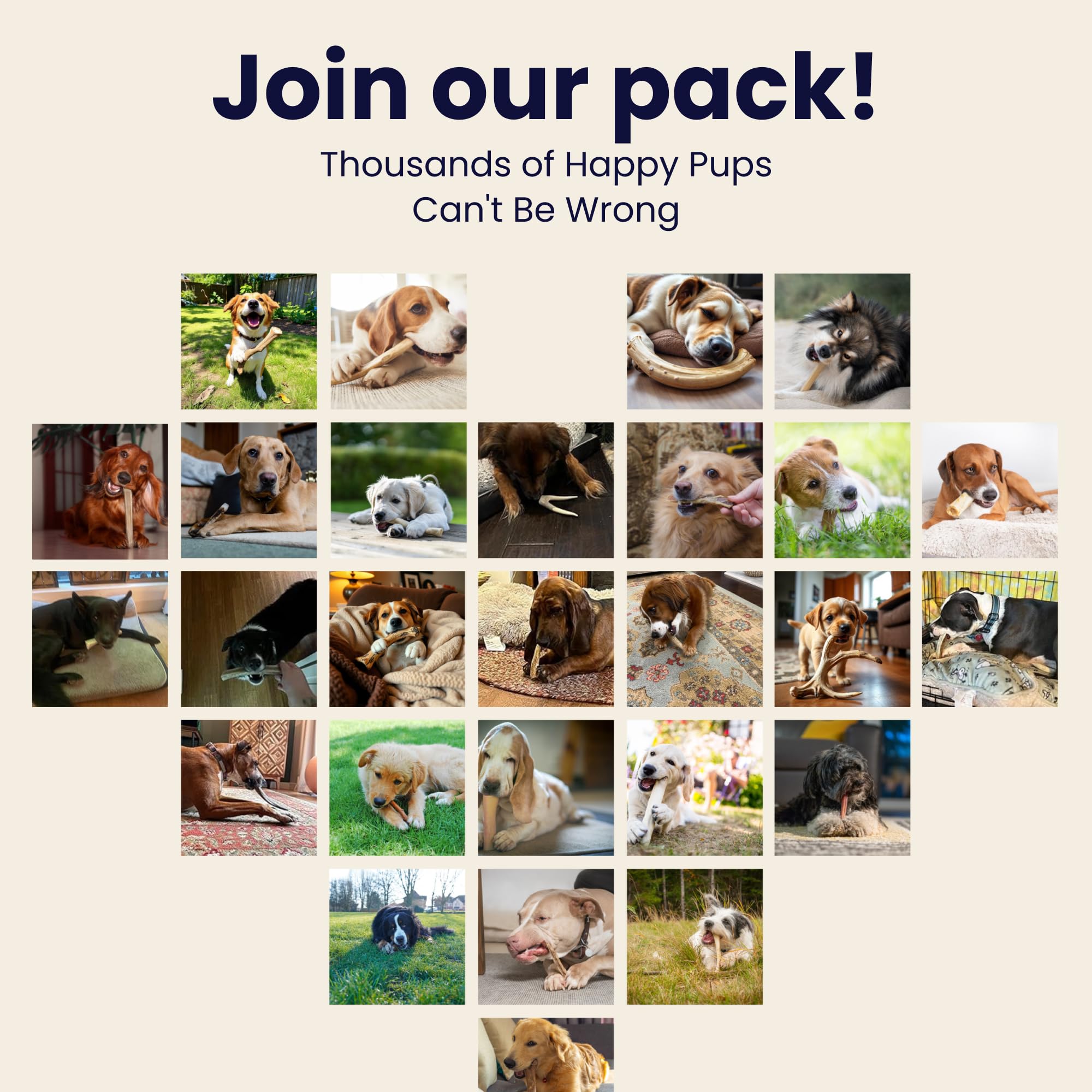 The Proper Hound jumbo deer antler care guidance image emphasizes supervision during chews.