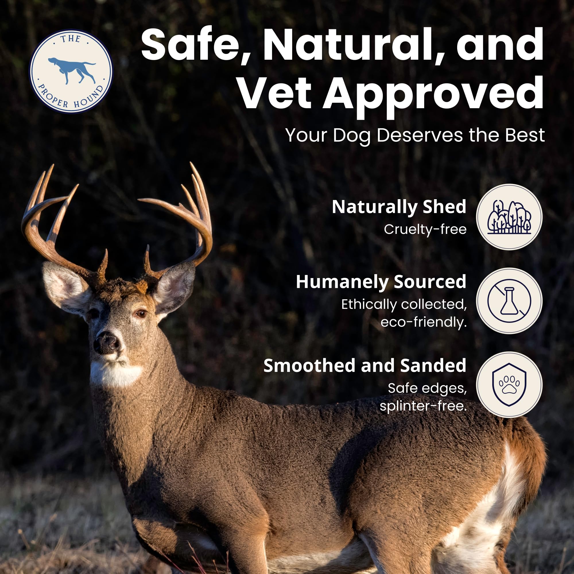 The Proper Hound jumbo deer antler texture closeup reveals dense, natural chew surface.