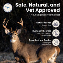 The Proper Hound jumbo deer antler texture closeup reveals dense, natural chew surface.