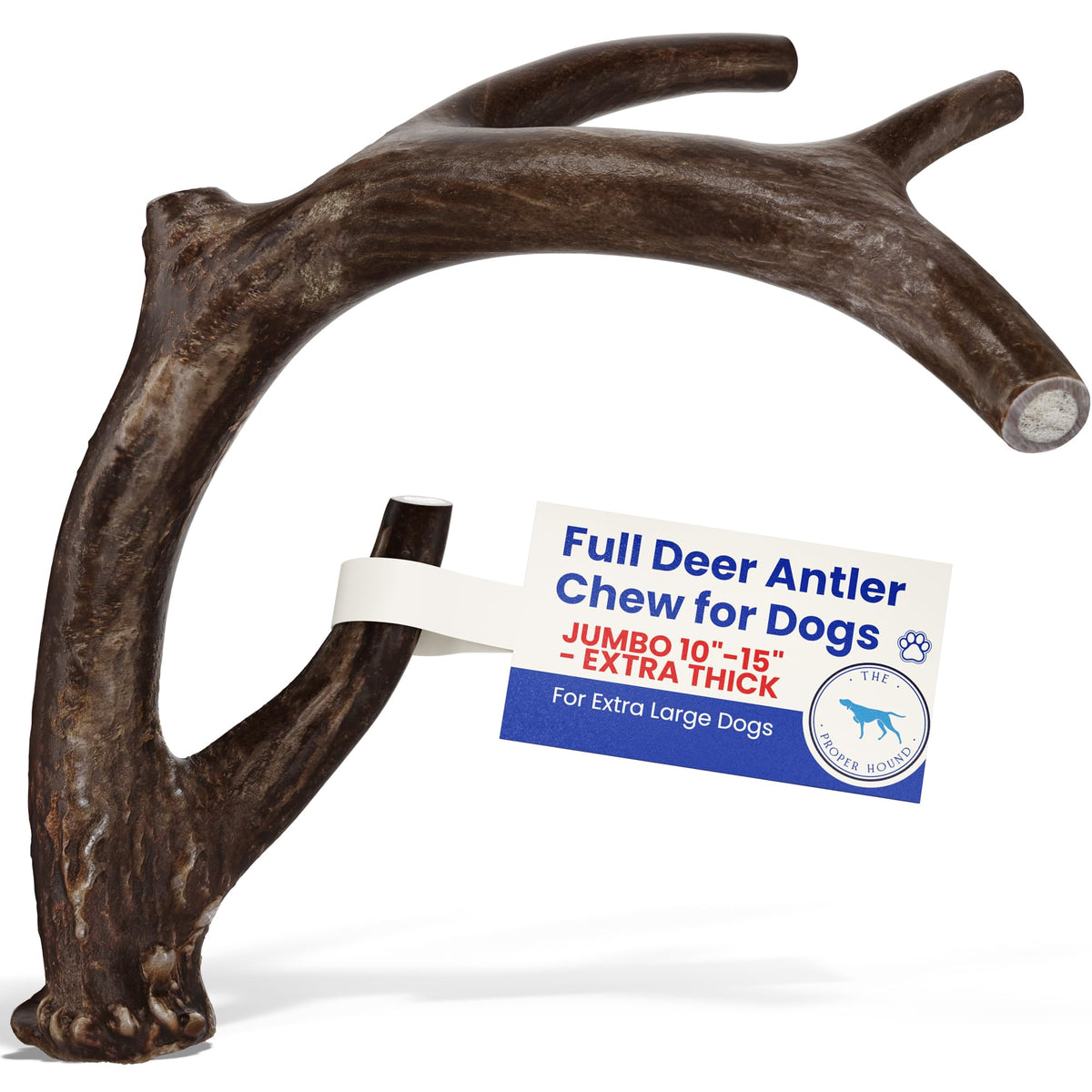 The Proper Hound jumbo deer antler whole provides long-lasting dog chewing sessions.