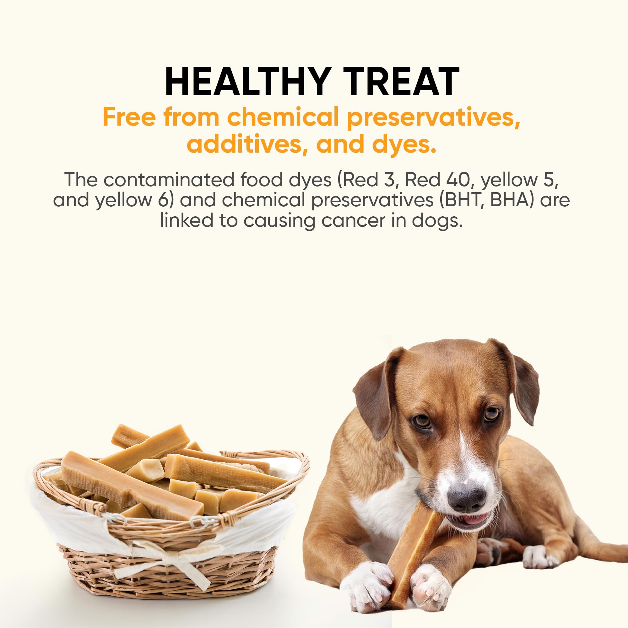 The Safe Dog Chew Company large-breed chew closeup illustrates long-lasting entertainment
