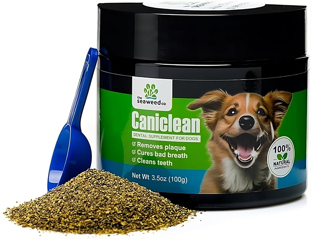 The Seaweed Co Caniclean dog tooth powder tin for tartar relief.