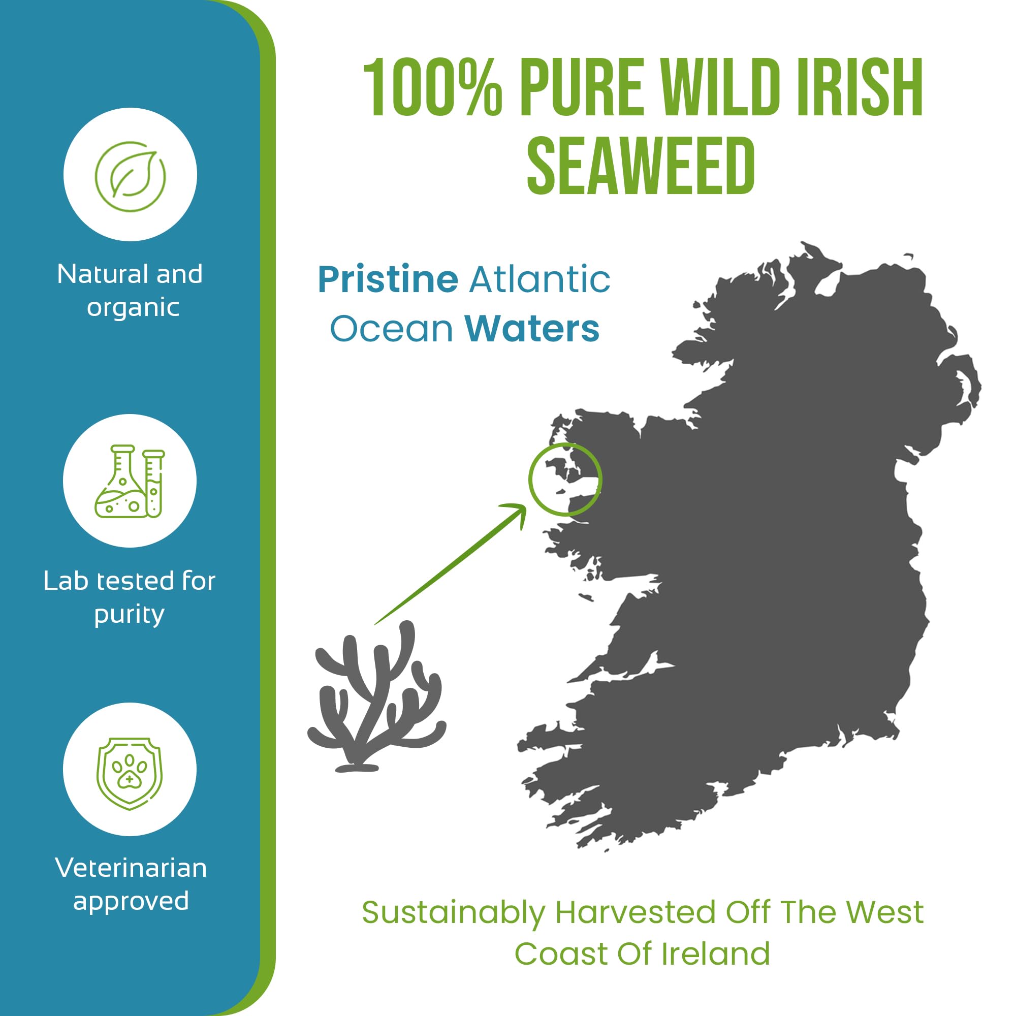 The Seaweed Co Caniclean fresh breath after daily use.