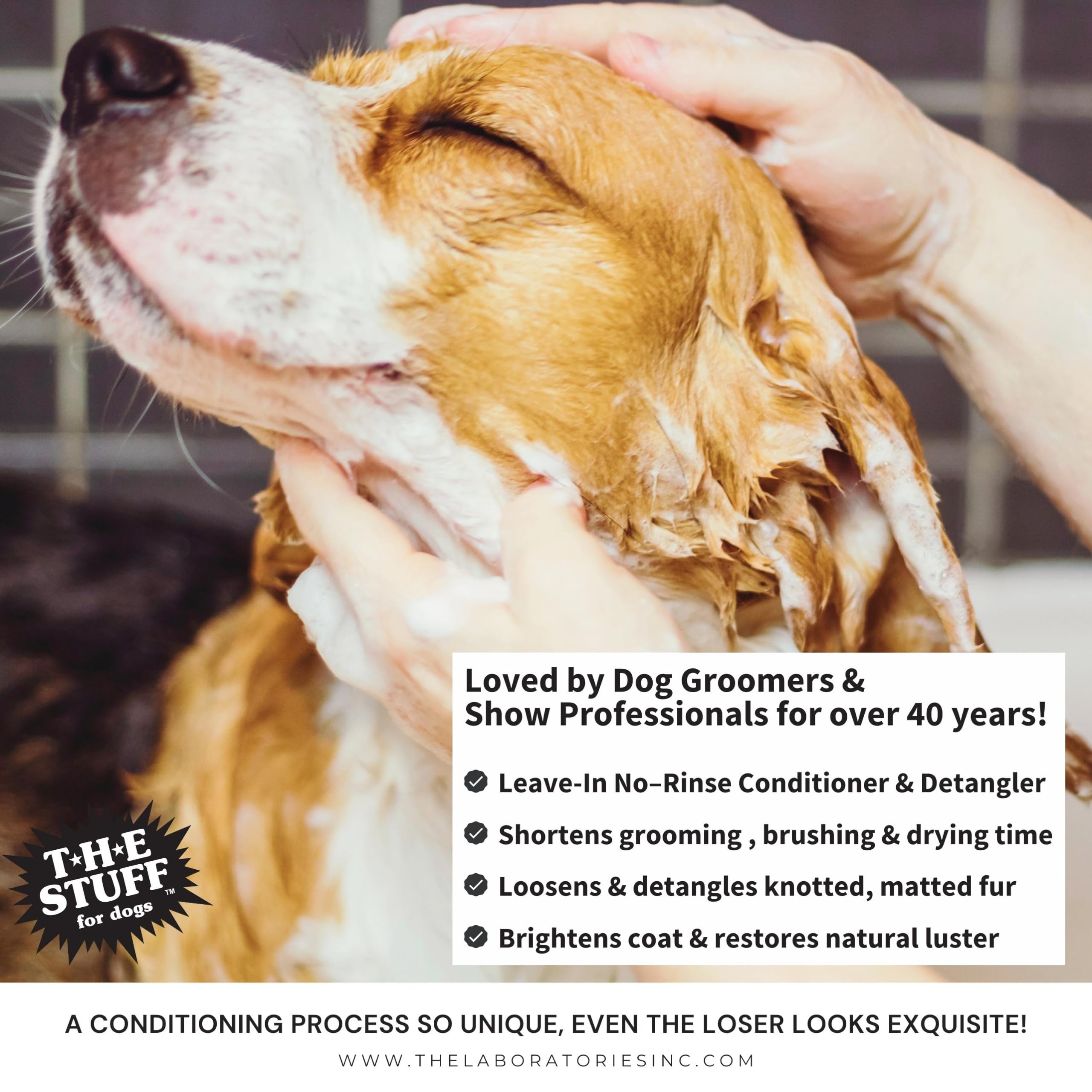 The Stuff grooming-ready coat after detangling and conditioning