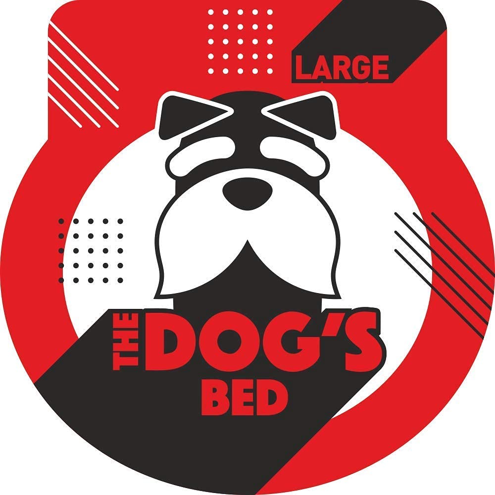 The Dog's Bed room setup shows decor-friendly placement that keeps dogs nearby.