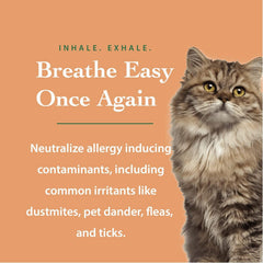 The Ecology Works Organic Neem Tree Extract close-up emphasizes natural care.
