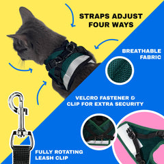 The Fat Cat Emerald Explorer harness back view features a reflective stripe for visibility at dusk.