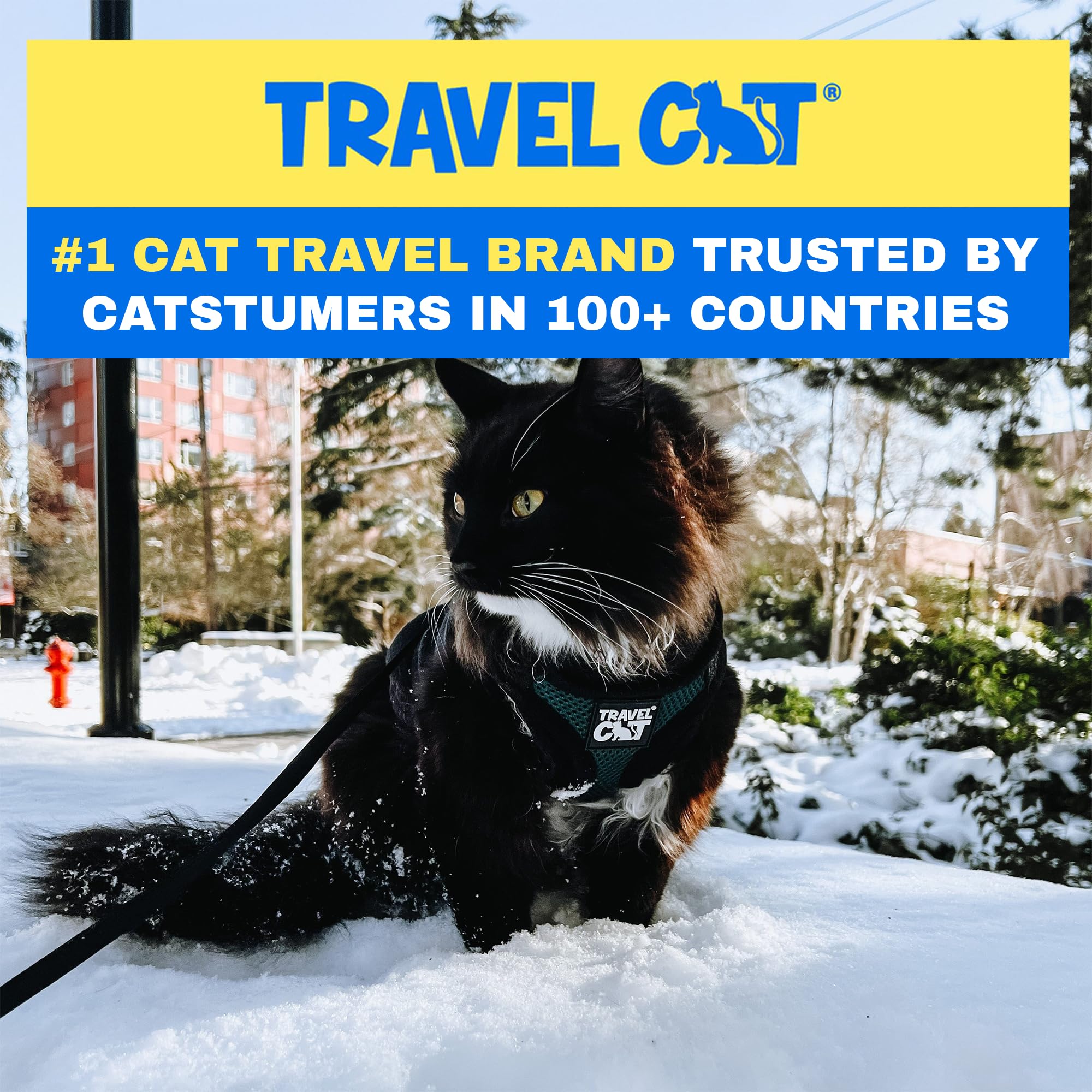 The Fat Cat Emerald Explorer harness close-up reveals reflective strip and secure Velcro for safety.