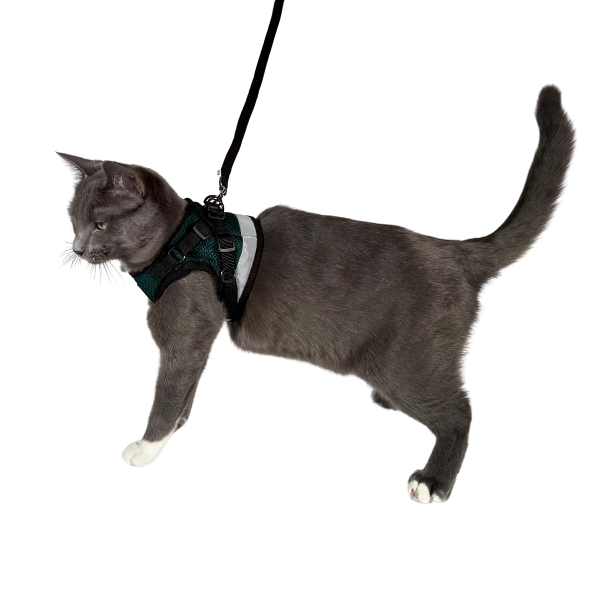 The Fat Cat Emerald Explorer Velcro-closure close-up shows easy on-off and secure fit.