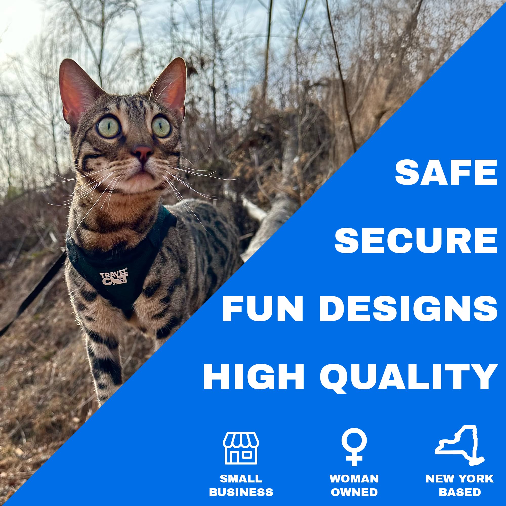 The Fat Cat Emerald Explorer leash extended demonstrates a 4-foot nylon leash for controlled exploration.