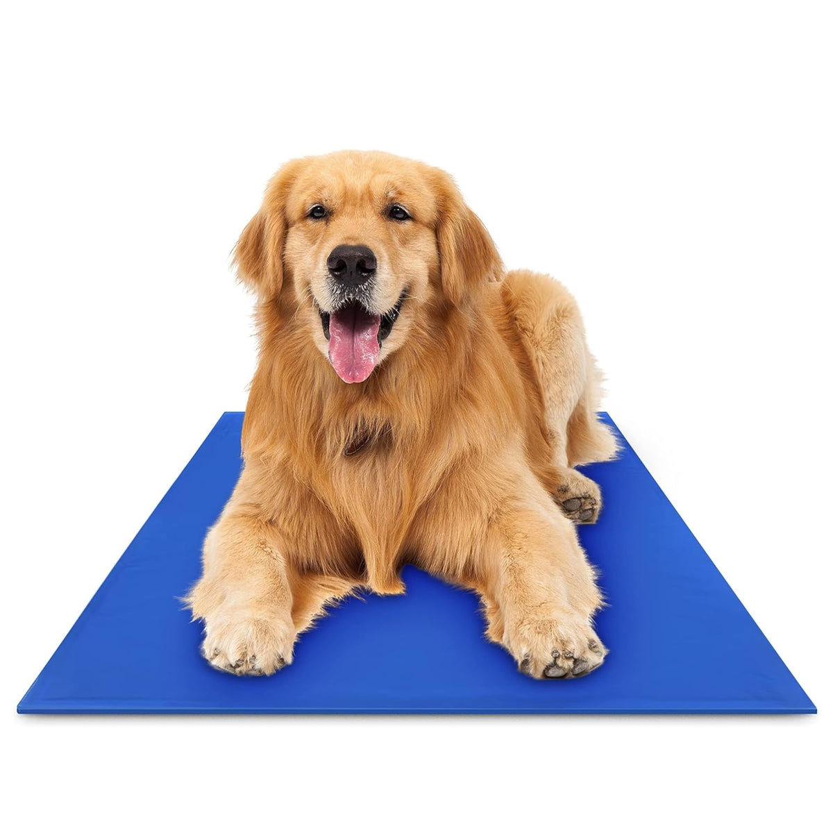 The Green Pet Shop Chillz gel mat extralarge helps pets cool down after play.