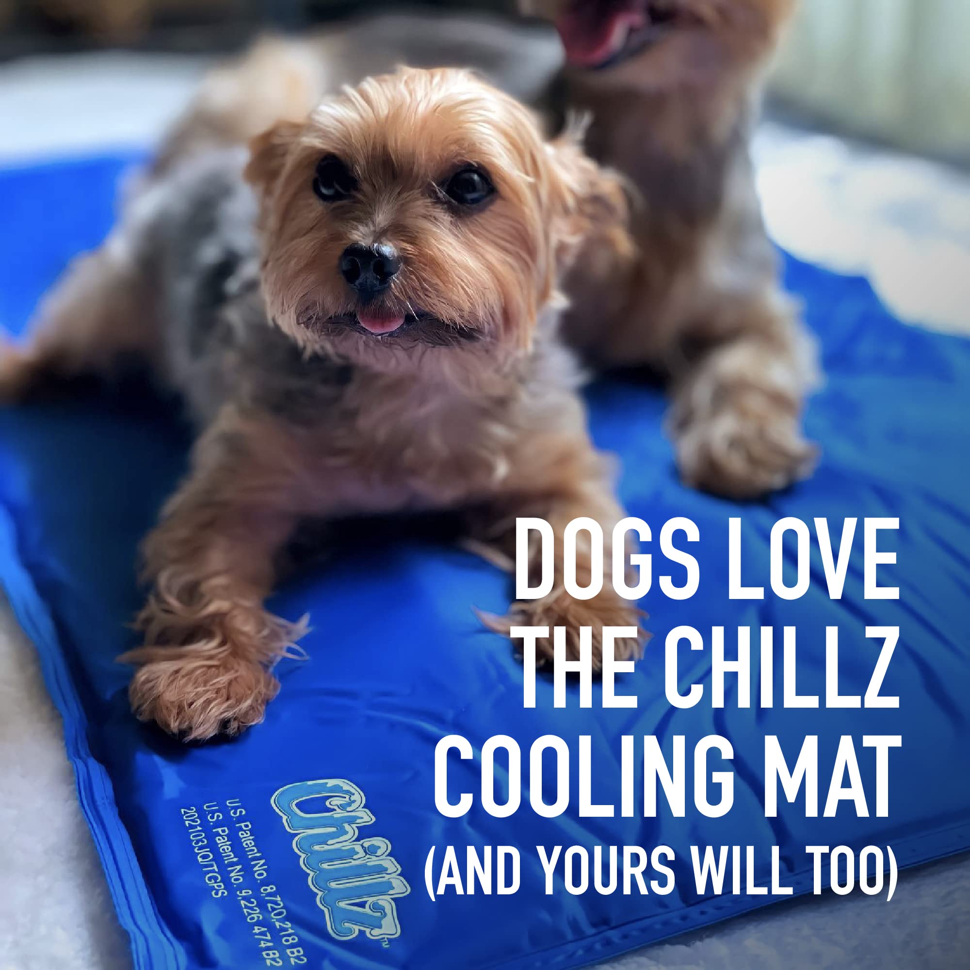 The Green Pet Shop Chillz gel mat recharge-friendly design supports frequent use.