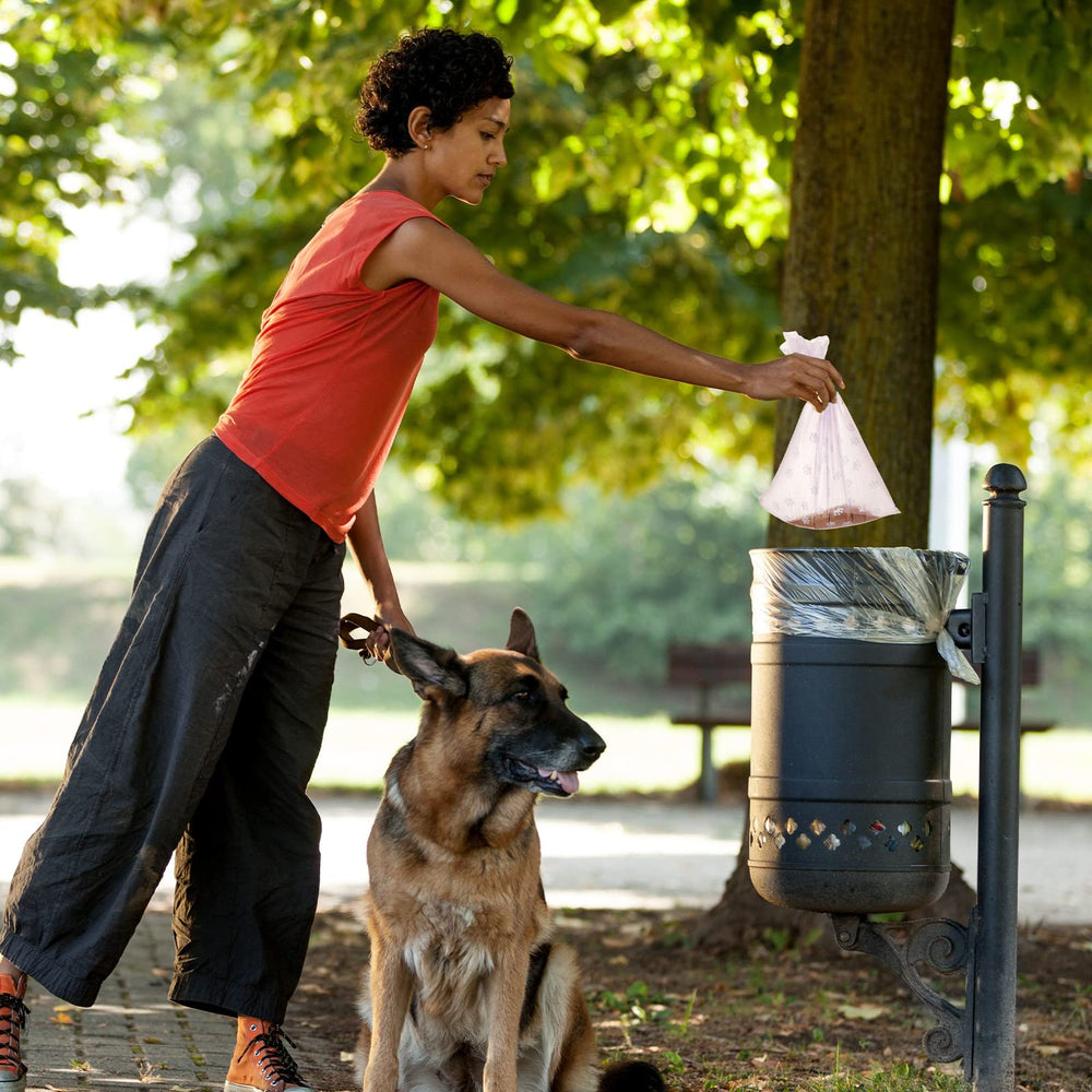 Thenshop portable bags ideal for travel and outdoor outings with pets.