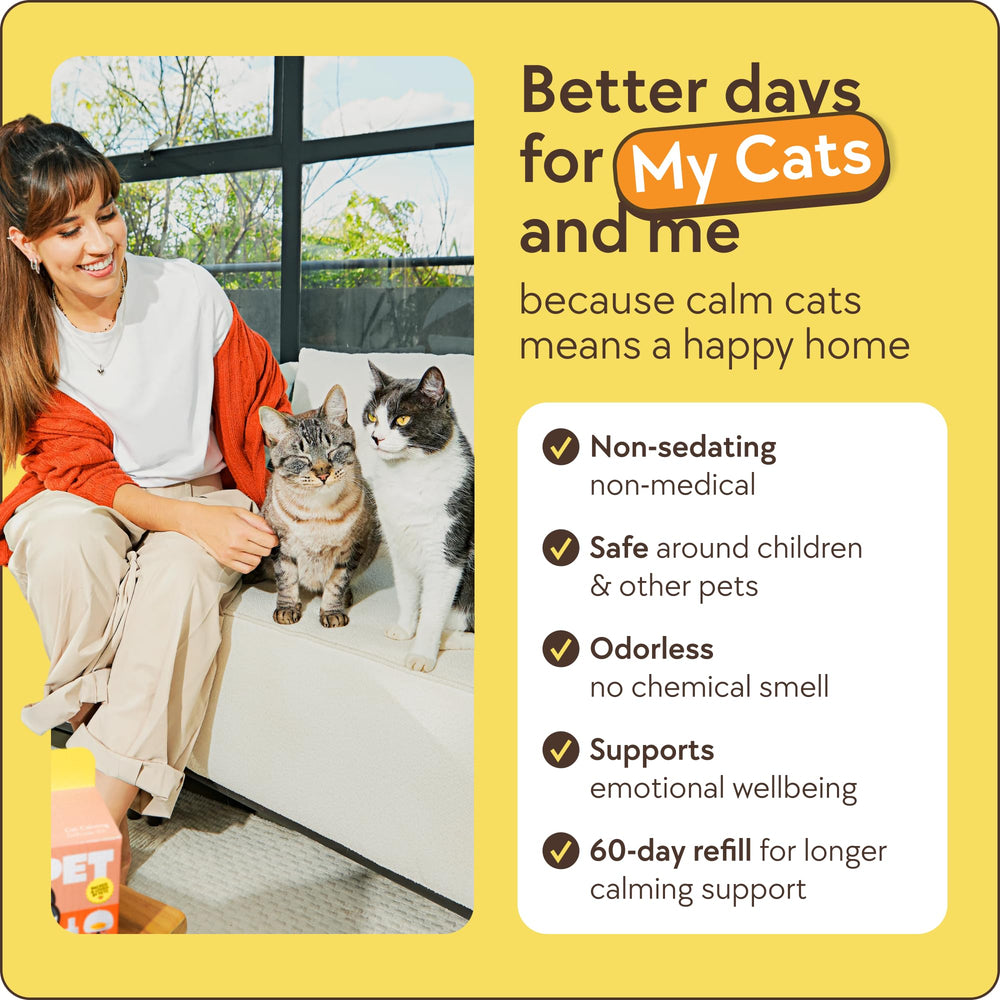 TherapetMD diffuser in a living room reducing tension among multiple cats