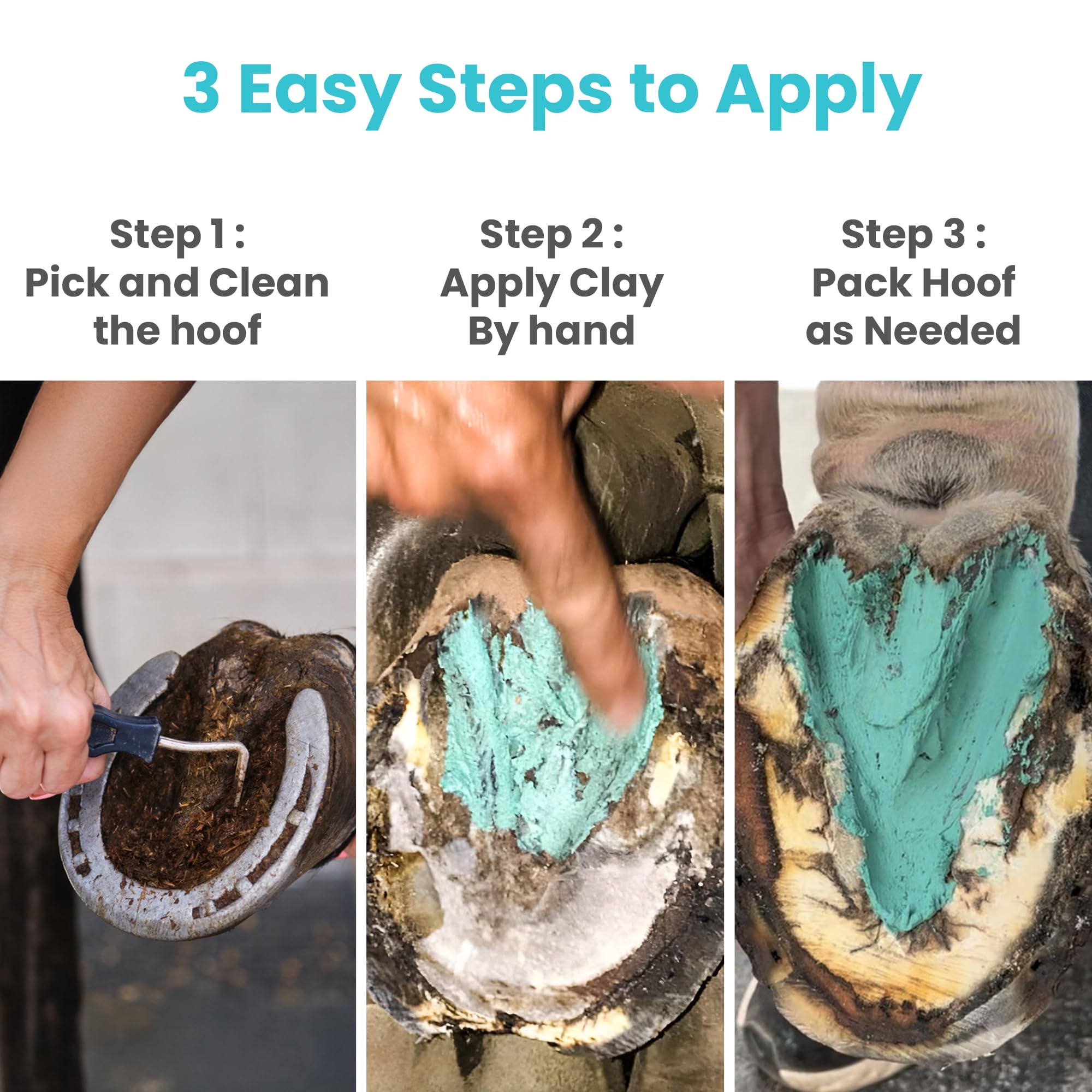 Therazure competition-safe formula shown in a clean stable setting.