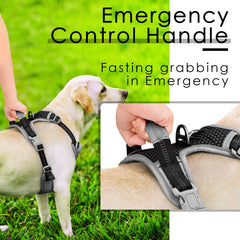ThinkPet arnés con mango trasero para control cercano en emergencias.