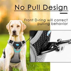 ThinkPet arnés sin tiro trasero con aro para paseos diarios.