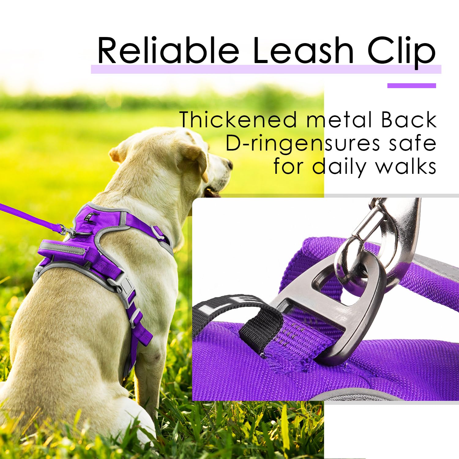 ThinkPet breathable padding harness keeps dogs cool and comfy