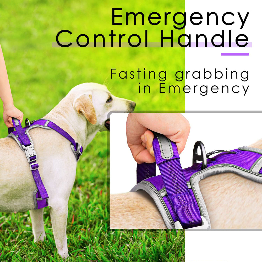 ThinkPet neon purple dog harness with high visibility