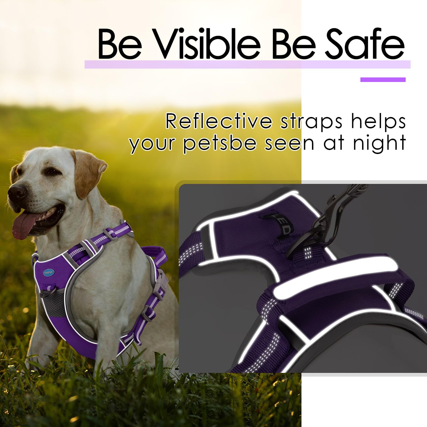 ThinkPet No-Pull Harness back clip for daily walks