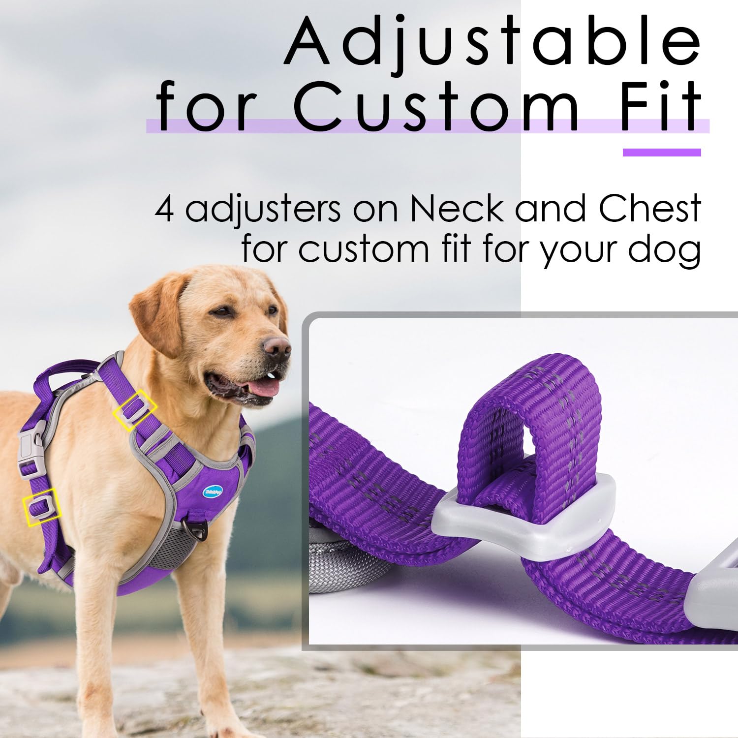 ThinkPet reflective strap harness improves visibility at night
