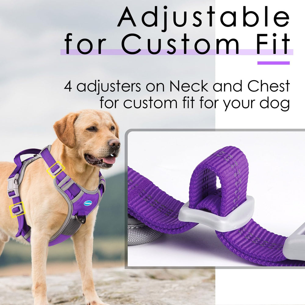 ThinkPet reflective strap harness improves visibility at night