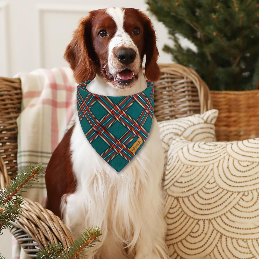 THLOH Christmas bandana care shows machine washable convenience.