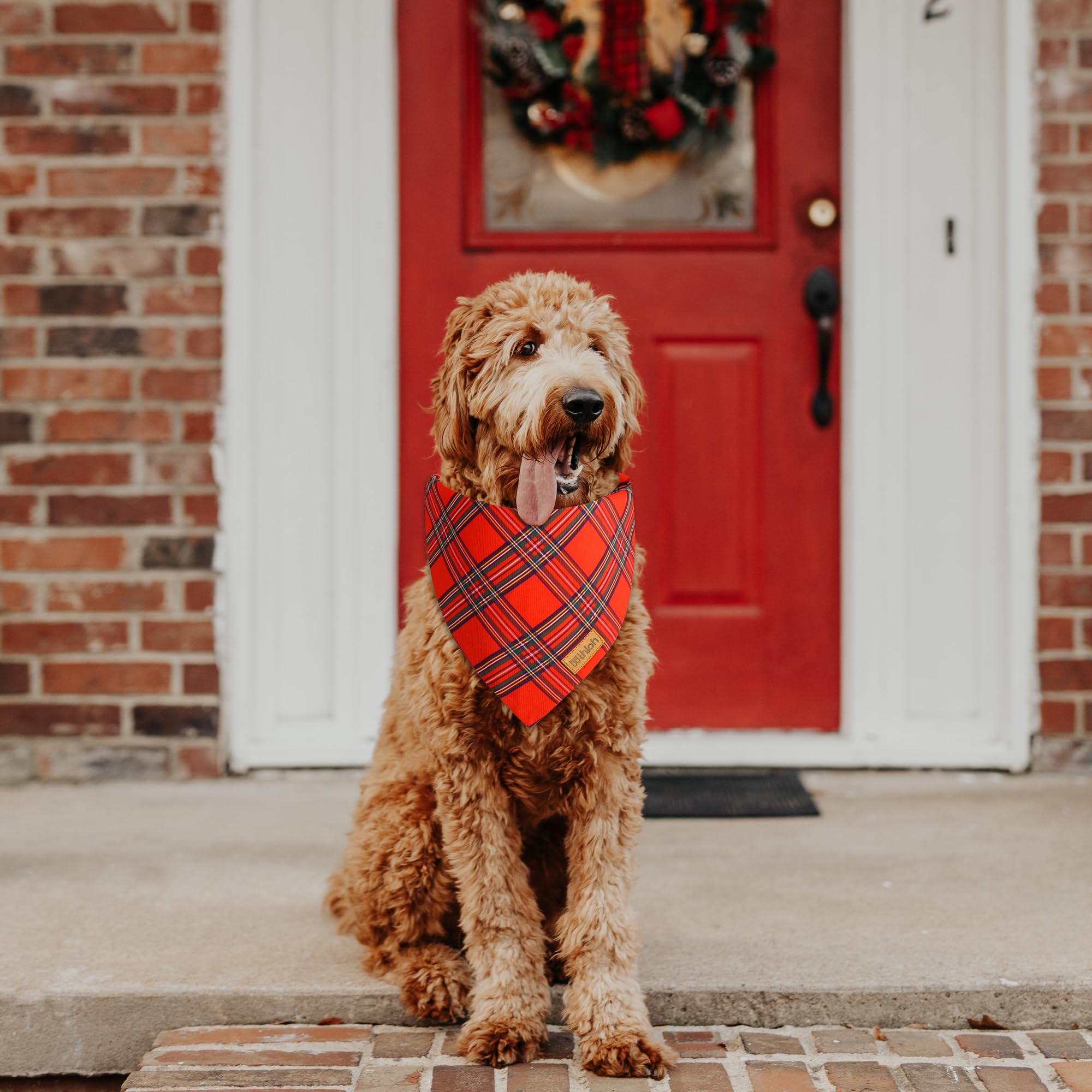 THLOH large-size dog bandana neck fit for medium to large dogs.