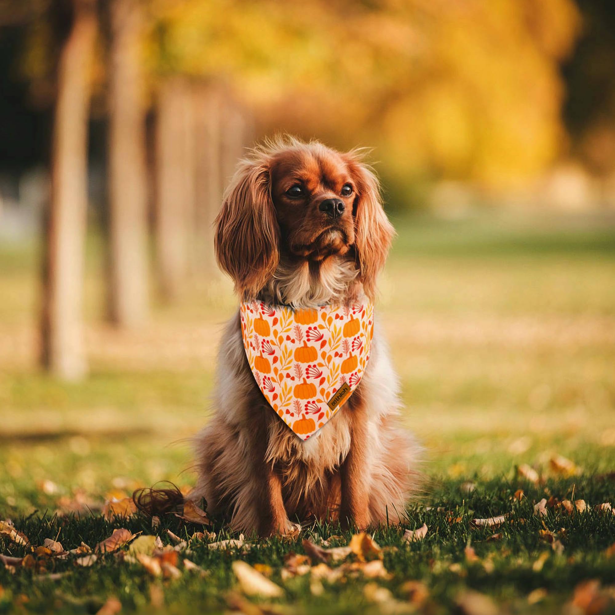 THLOH Fall Dog Bandana side view shows anti-bunching design.