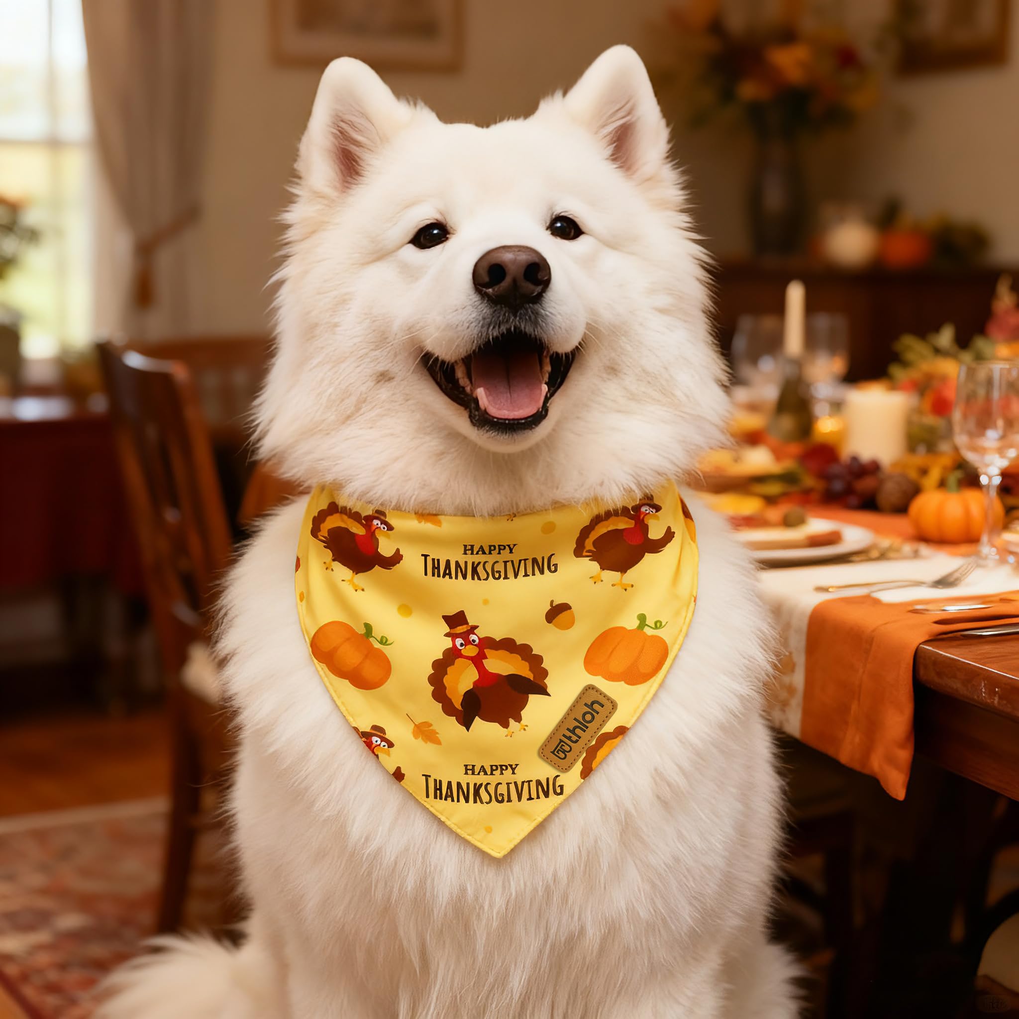 THLOH machine-washable bandana for easy care and color preservation.