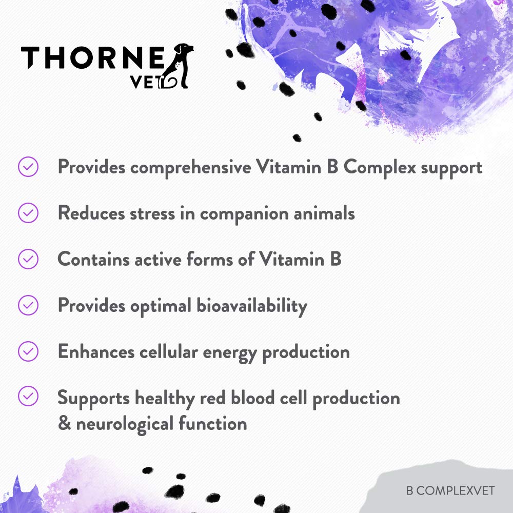 ThorneVET B ComplexVET soft chews dogs cats — supports energy and nervous system function.