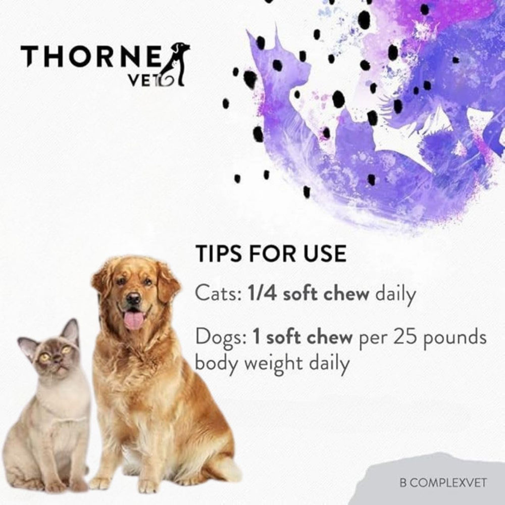 ThorneVET B ComplexVET kitchen counter — easy daily dose for pets.
