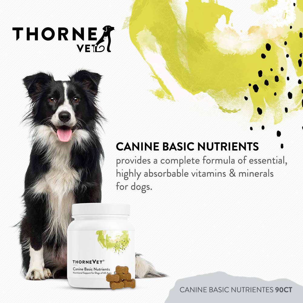 Close-up of ThorneVET Canine Basic Nutrients soft chews for easy dosing.