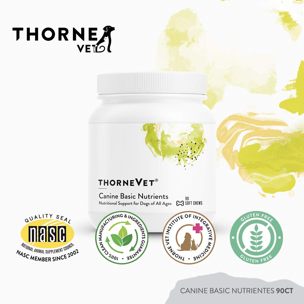 Chews in hand showing ThorneVET Canine Basic Nutrients nutrient blend.
