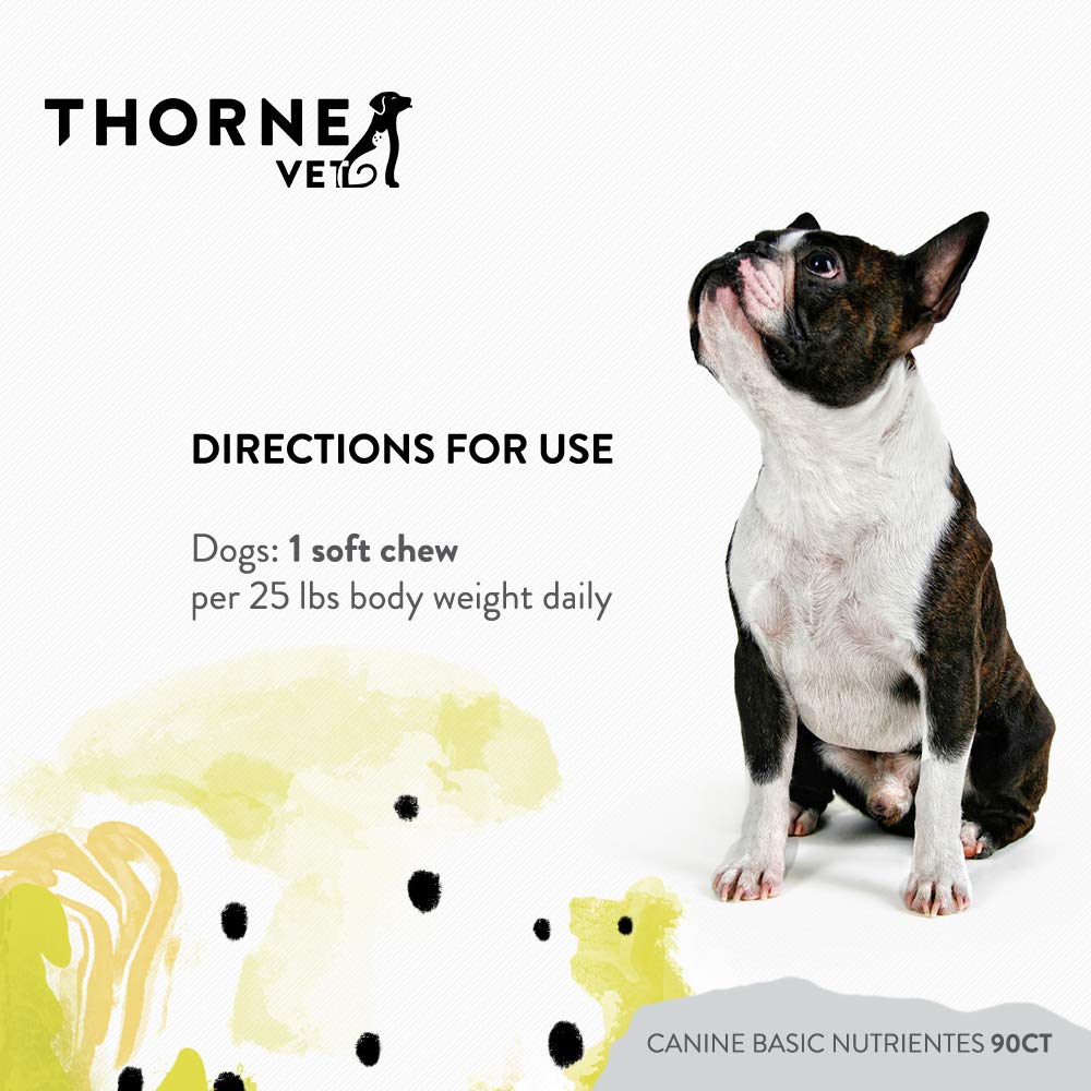 Dog sniffing ThorneVET Canine Basic Nutrients chews for daily health support.