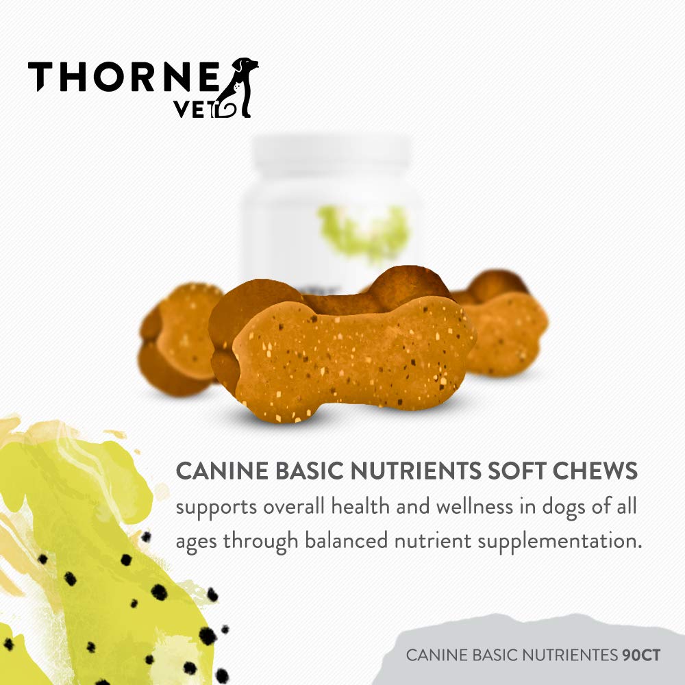 Soft chew in dog paw for convenient daily nutrition with ThorneVET.