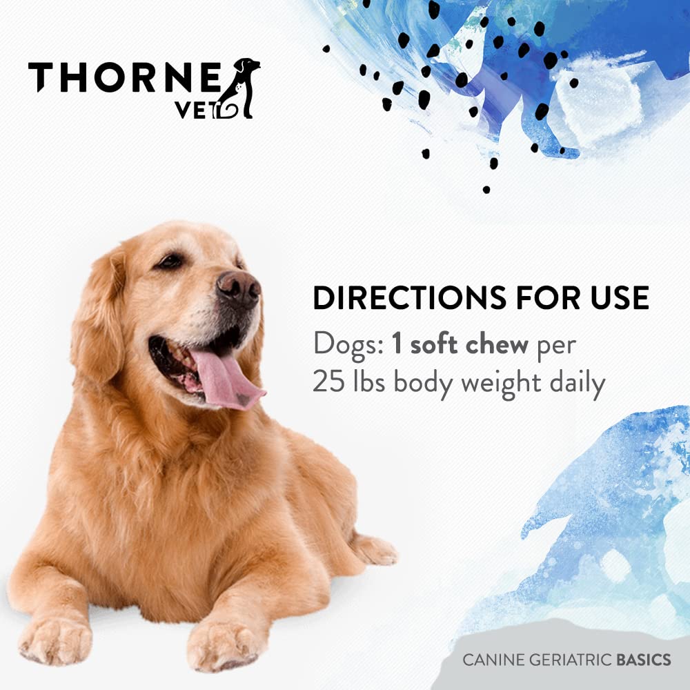 ThorneVET Canine Geriatric Basics may support cognitive function in seniors.