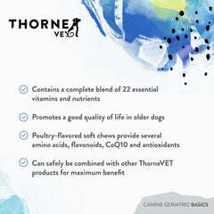 ThorneVET Canine Geriatric Basics aiding senior dogs during daily walks.