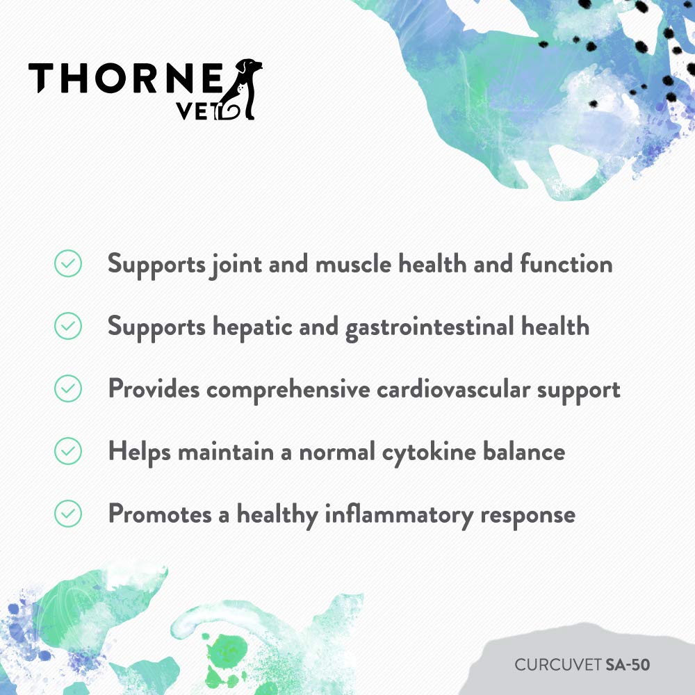 Dog using ThorneVet CurcuVET-SA50 chews in daily routine