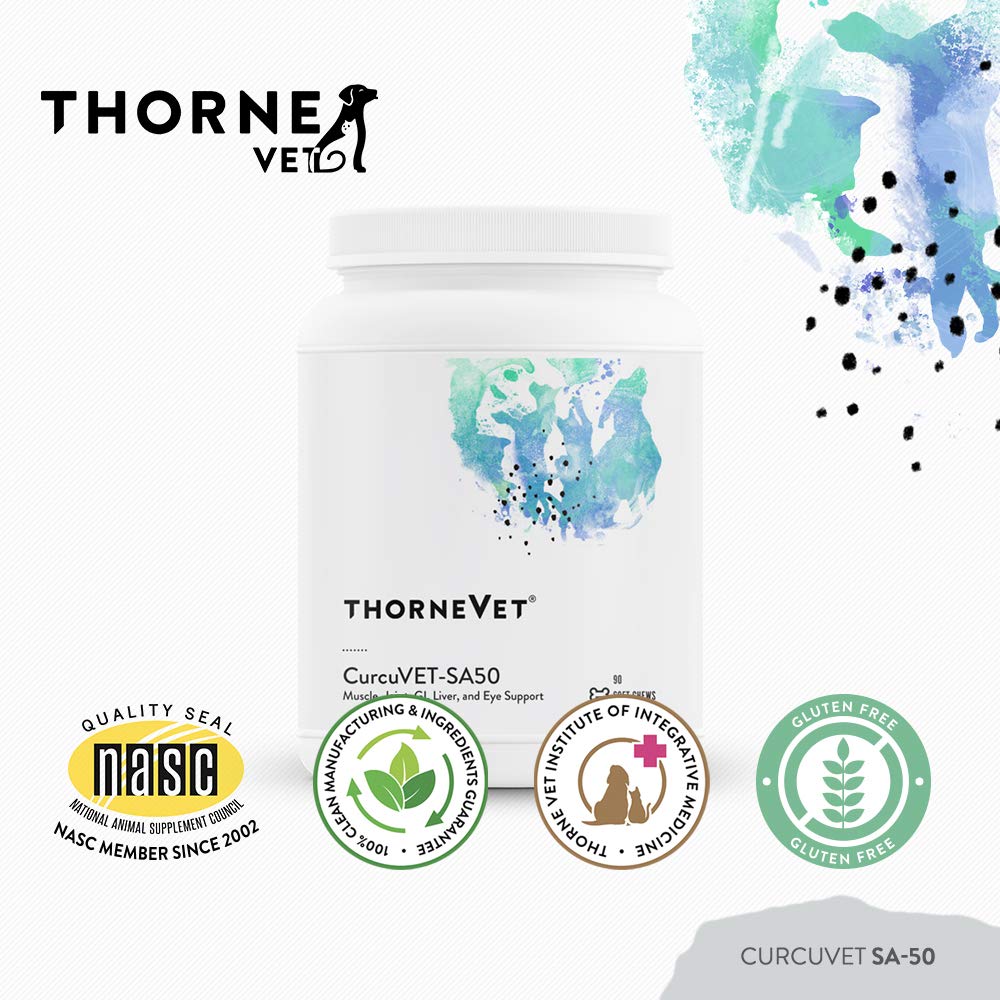 Serving plate of ThorneVet CurcuVET-SA50 chews ready to serve