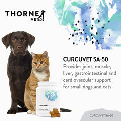 CurcuVET-SA50 soft chews close-up for easy dosing and joint support