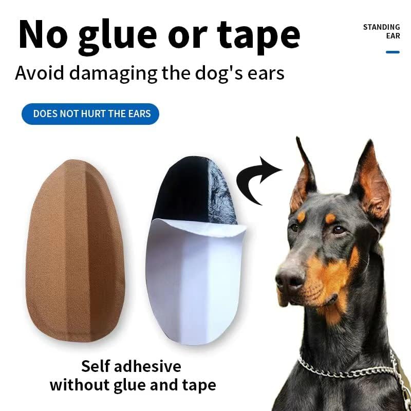 THOUDONER doberman ear-corrector hardware with sturdy construction.