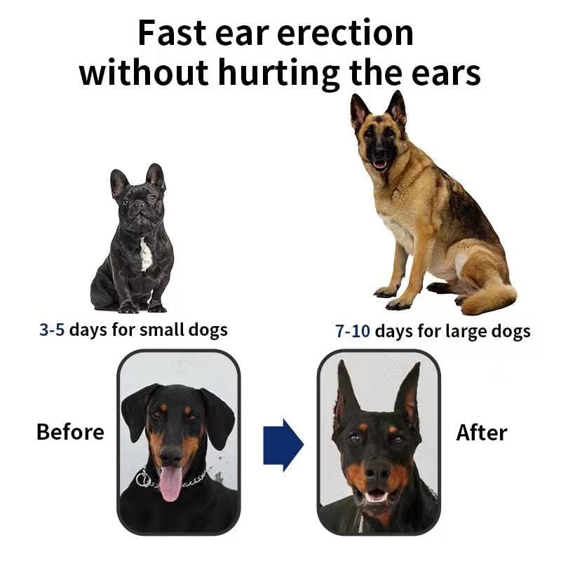 THOUDONER dog ear stand adjustable spacing to fit various head widths.