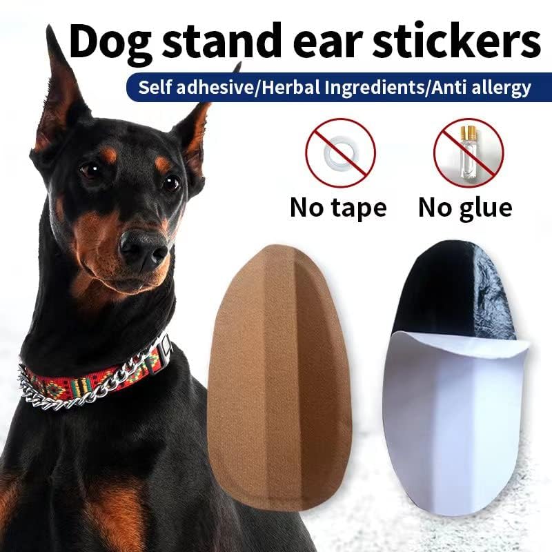 THOUDONER dog ear stand easy-to-operate setup for quick use.
