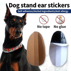 THOUDONER dog ear stand easy-to-operate setup for quick use.