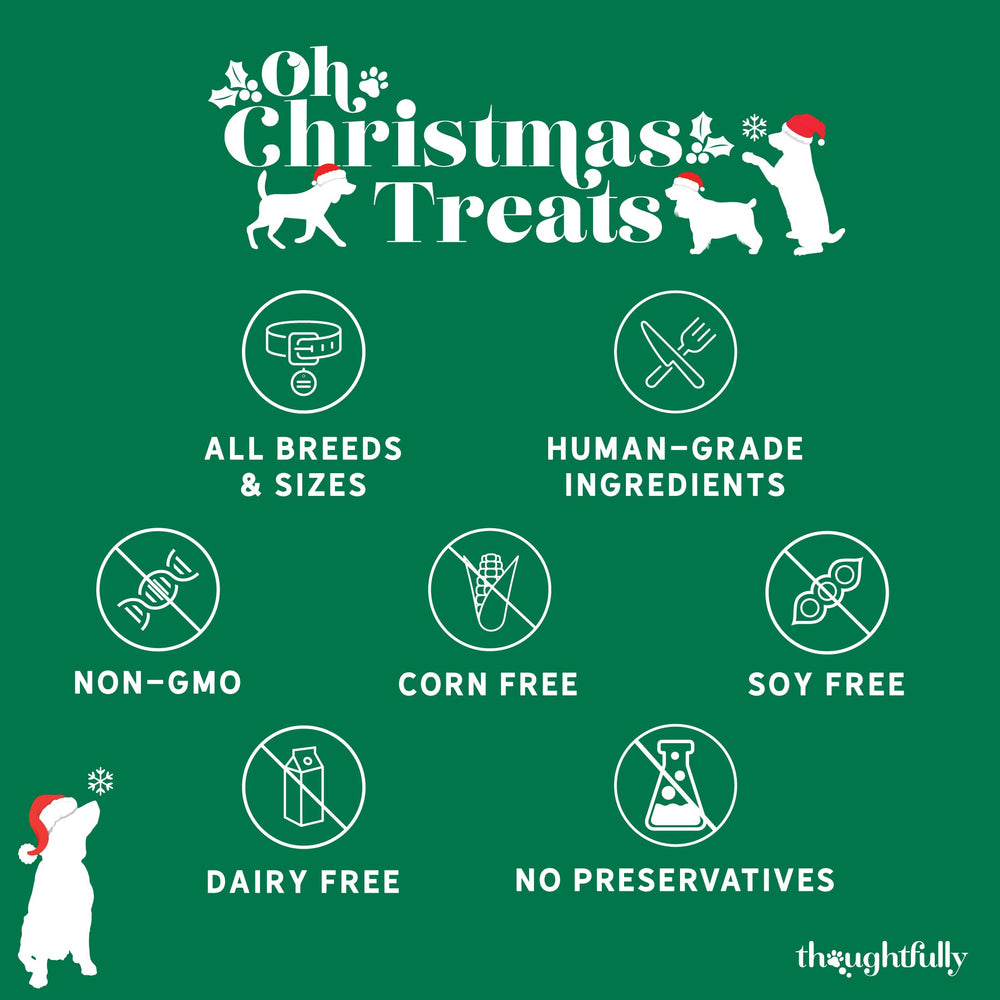 Thoughtfully Pets dog enjoying a gingerbread-flavored treat.